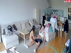 House sitter caught on hidden house camera